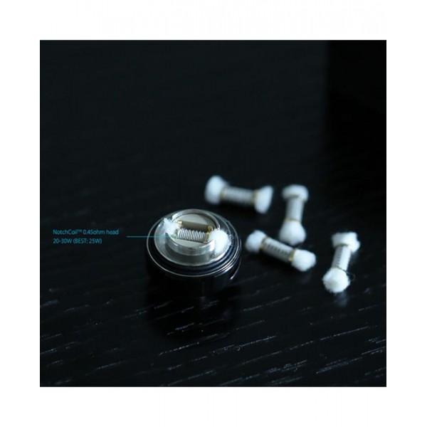 Joyetech Notchcoil 0.45ohm Coil Heads